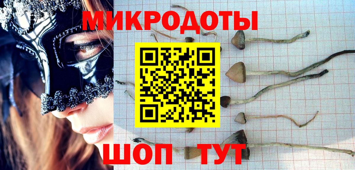 Галлюциногенные грибы Magic Shrooms Лесной