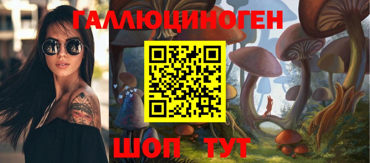 Псилоцибиновые грибы GOLDEN TEACHER  Вход с VPN  Лесной  Галлюциногенные грибы мухоморы 